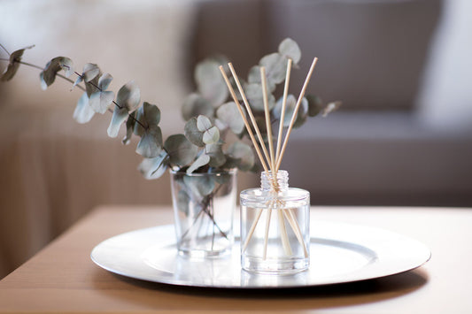 Reed diffuser 